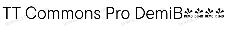TT Commons Pro DemiB字体转换
